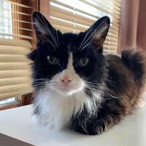 Meet your Posher, Lori